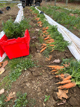 Load image into Gallery viewer, Winter Veg CSA