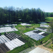 Load image into Gallery viewer, Farmers Market CSA/Gift Card