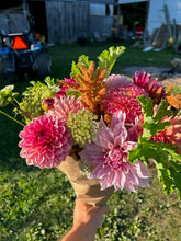Load image into Gallery viewer, DAHLIA Bouquet CSA