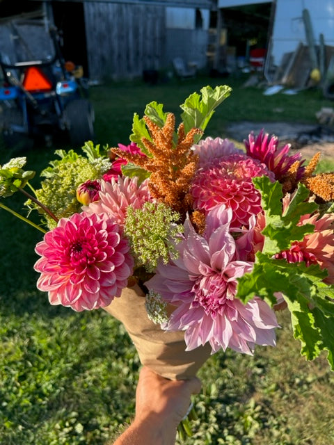 dahlia succulent bouquet DAHLIA Bouquet CSA – Pond Hill Farm LLC