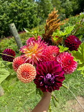 Load image into Gallery viewer, DAHLIA Bouquet CSA

