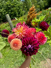Load image into Gallery viewer, DAHLIA Bouquet CSA