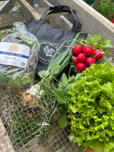 Load image into Gallery viewer, Spring Veg CSA