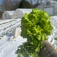 Load image into Gallery viewer, Winter Veg CSA