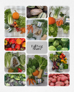 Fall Veg CSA