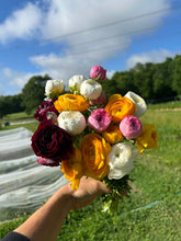 Load image into Gallery viewer, Spring Ranunculus Bouquet CSA
