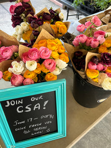 Spring Ranunculus Bouquet CSA