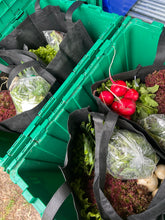 Load image into Gallery viewer, Spring Veg CSA
