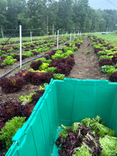 Load image into Gallery viewer, Spring Veg CSA
