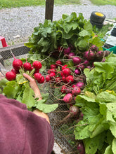 Load image into Gallery viewer, Spring Veg CSA
