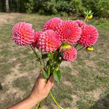 Load image into Gallery viewer, Natalie G
