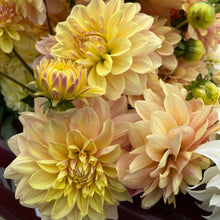 Load image into Gallery viewer, Wyn's New Pastel
